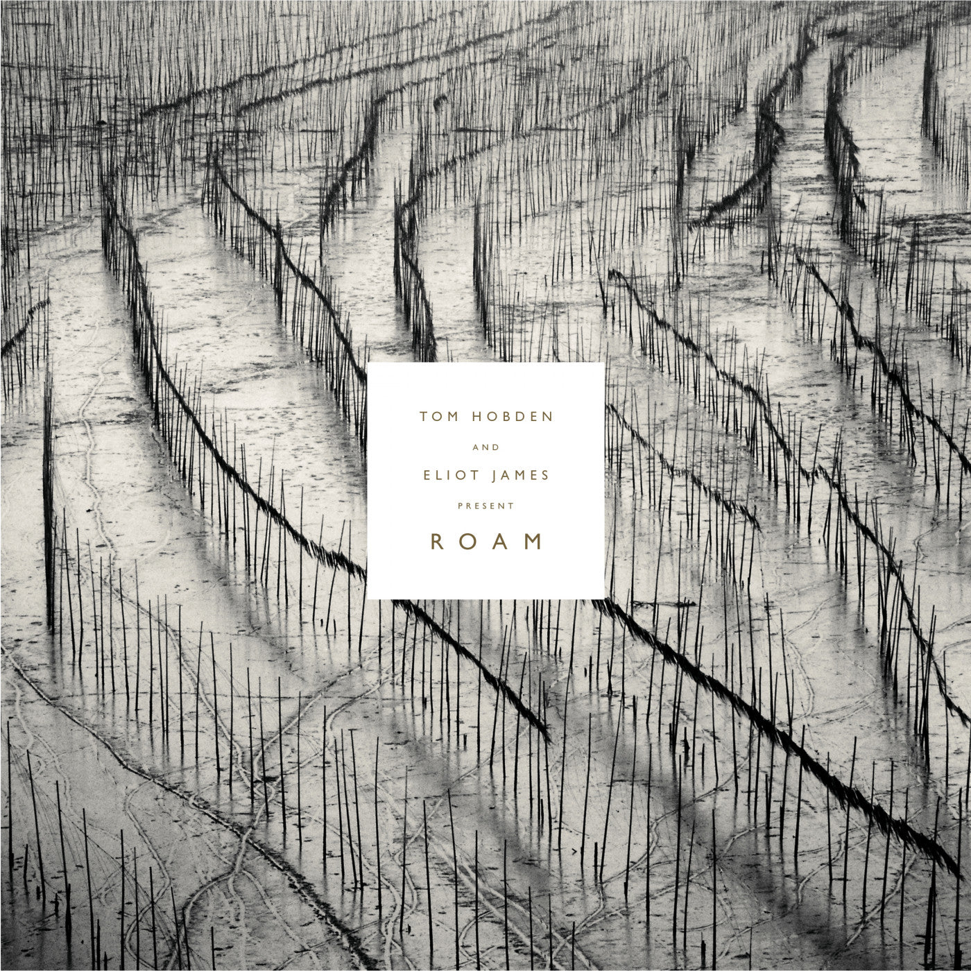 Hobden, Tom and Eliot James - Present: Roam (CD) |
