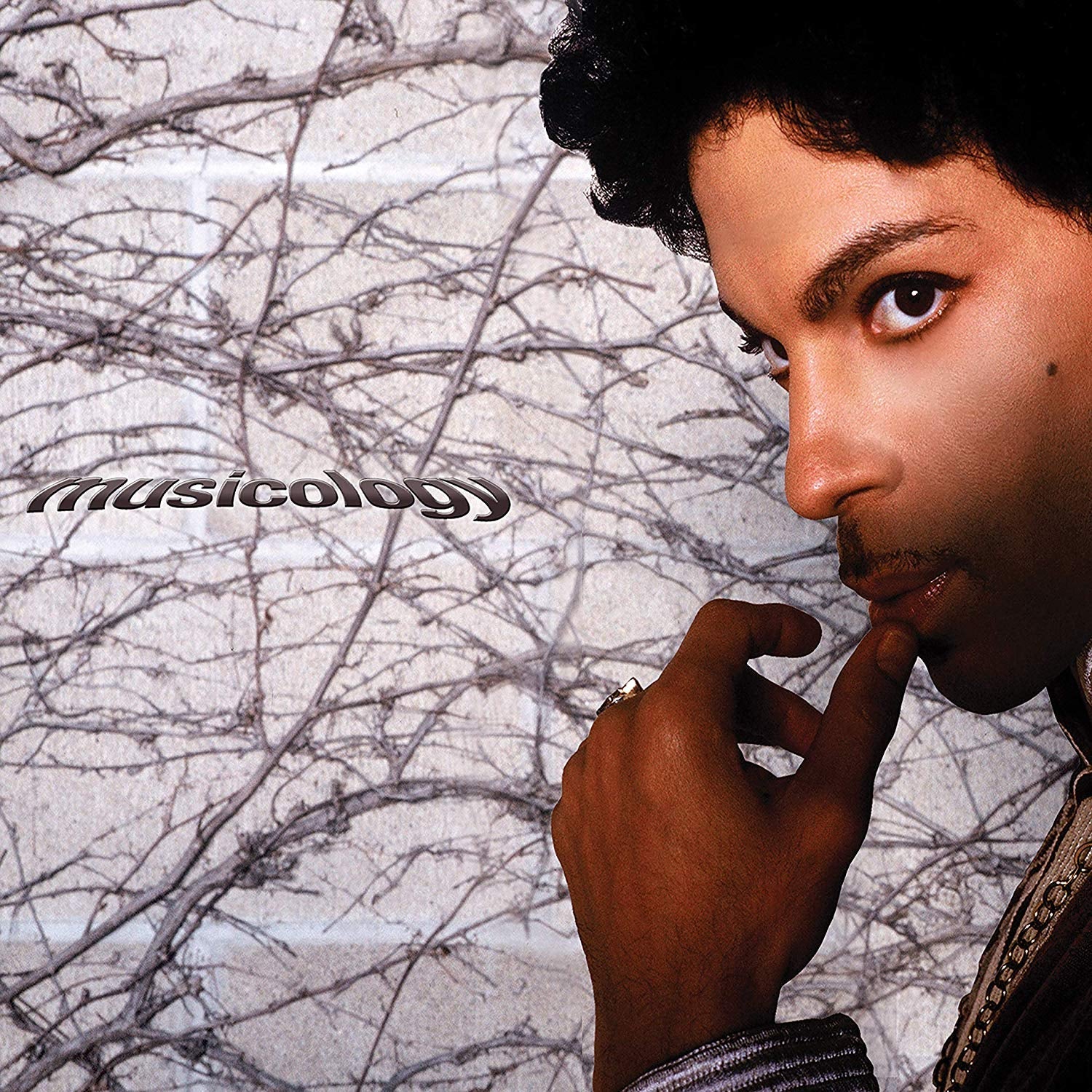 Prince - Musicology |