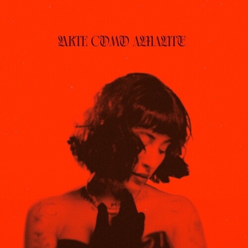 (PRESALE 6/19/26) Arte Como Amante (VINYL) | Mint (M) Mint (M) - PROGRESSIVE HOUSE *NEW*