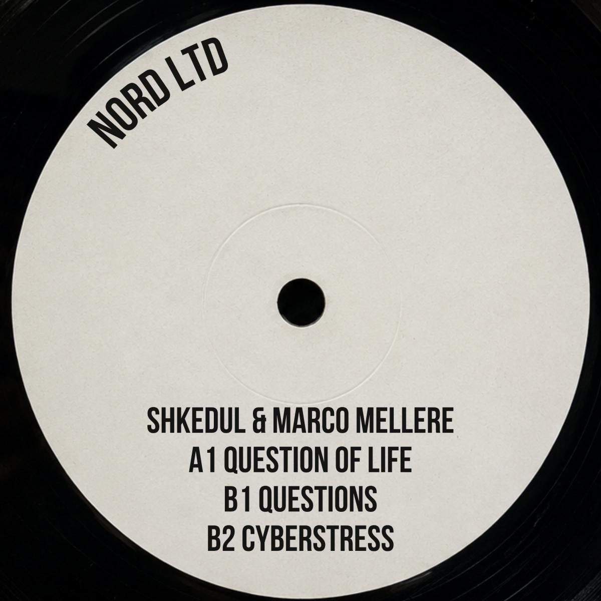 Shkedul & Marco Mellere - (PRESALE 9/28/26) Questions (VINYL 12" NORD LTD) | NEW - PROGRESSIVE *NEW*