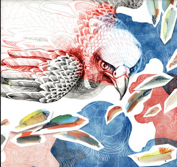 Dense Forest (VINYL 12") | - PROGRESSIVE *NEW*