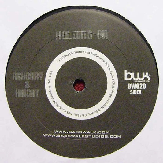 Ashbury & Haight Holding On 12" Near Mint (NM or M-) Generic