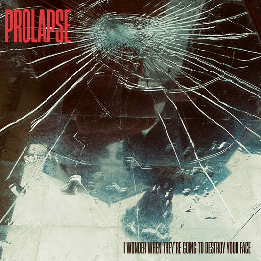 I Wonder When They'Re Going To Destroy Your Face [Cd] |