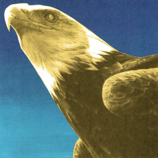 Protomartyr - Hotel Usona (Indie Exclusive) [Gold Vinyl] |