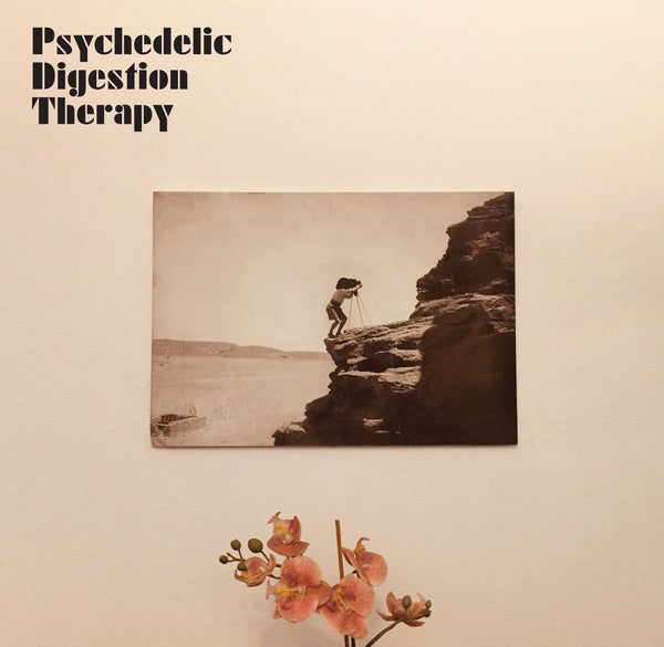 Psychedelic Digestion Therapy |