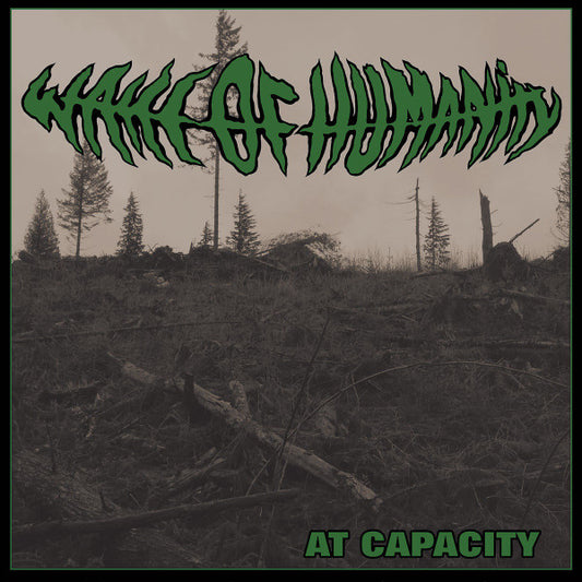 At Capacity (TRANSPARENT GREEN MARBLE VINYL 7") | Mint (M) Mint (M) - PUNK *NEW/COLOR*