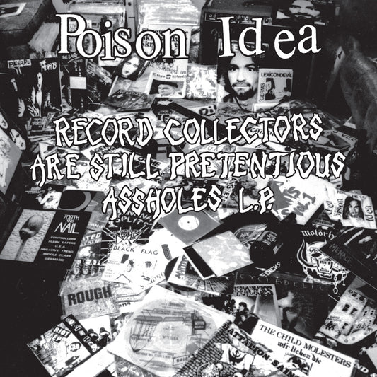(PRE ORDER 5/1/26) Record Collectors Are STILL Pretentious Assholes (PURPLE VINYL) | - PUNK *NEW/COLOR*