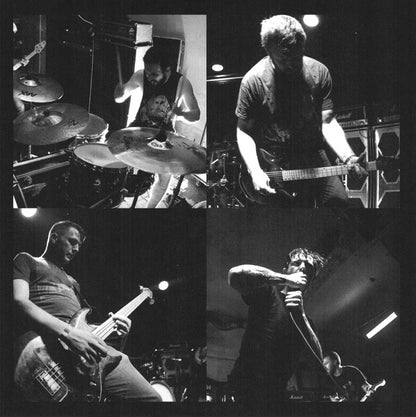 Useless Animal (7" VINYL) *TRANSPARENT GOLD* | Mint (M) Mint (M) - PUNK *NEW/COLOR*