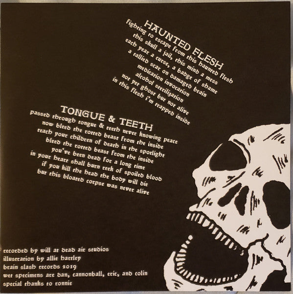 Haunted Flesh (VINYL 7") | Mint (M) Mint (M) - PUNK *NEW*