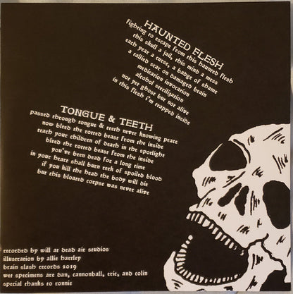 Haunted Flesh (VINYL 7") | Mint (M) Mint (M) - PUNK *NEW*