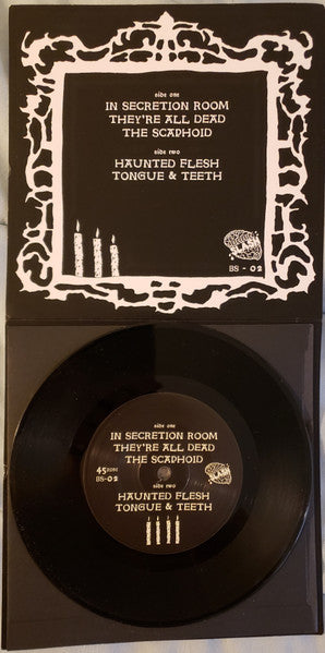 Haunted Flesh (VINYL 7") | Mint (M) Mint (M) - PUNK *NEW*