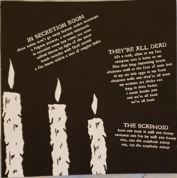 Haunted Flesh (VINYL 7") | Mint (M) Mint (M) - PUNK *NEW*