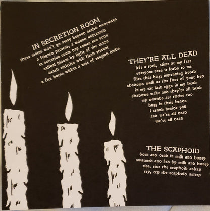 Haunted Flesh (VINYL 7") | Mint (M) Mint (M) - PUNK *NEW*