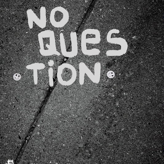No Question (7" VINYL) | Mint (M) Mint (M) - PUNK *NEW*