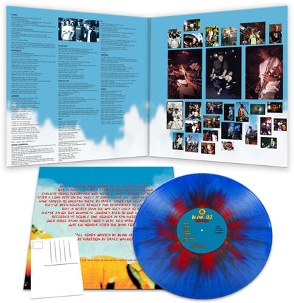 Buddha (BLUE & RED SPLATTER VINYL) | Mint (M) Mint (M) - PUNK *SEALED*