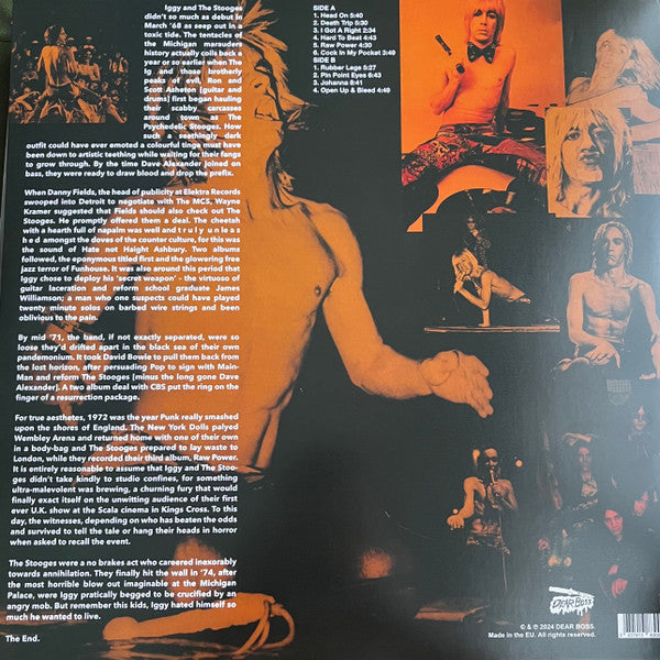 Keep Me Safe, Keep Me Sane (Rare Tracks 1972) (VINYL LP) | Mint (M) - PUNK *SEALED/COLOR*