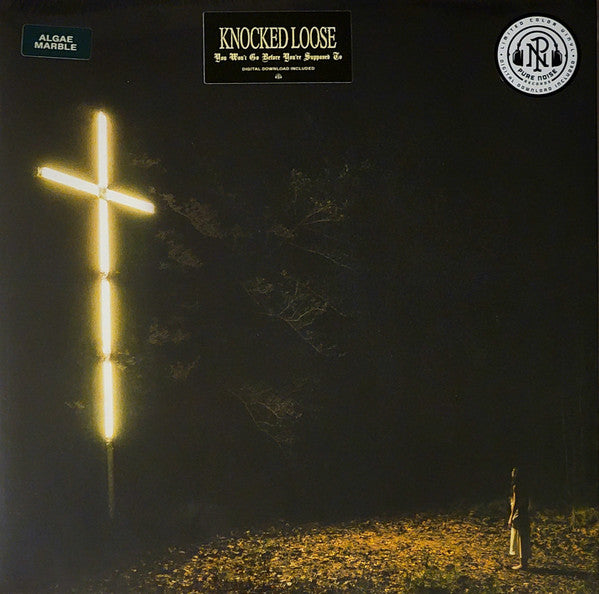 You Won't Go Before You're Supposed To (VINYL) | Mint (M) Mint (M) - PUNK *SEALED*