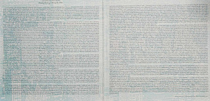 Actress: Birth Of The New York Dolls (VINYL) | Mint (M) Mint (M) - PUNK *SEALED*