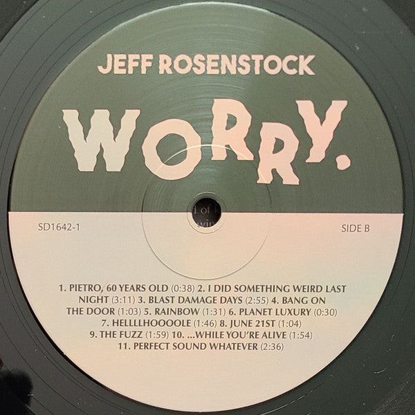 Worry. *DINGED* (VINYL) | Mint (M) Excellent (EX) - PUNK *SEALED*