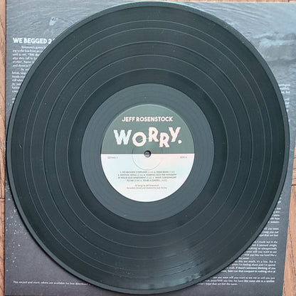 Worry. *DINGED* (VINYL) | Mint (M) Excellent (EX) - PUNK *SEALED*