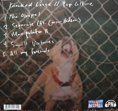 Pop Culture (VINYL) | Mint (M) Mint (M) - PUNK *SEALED*