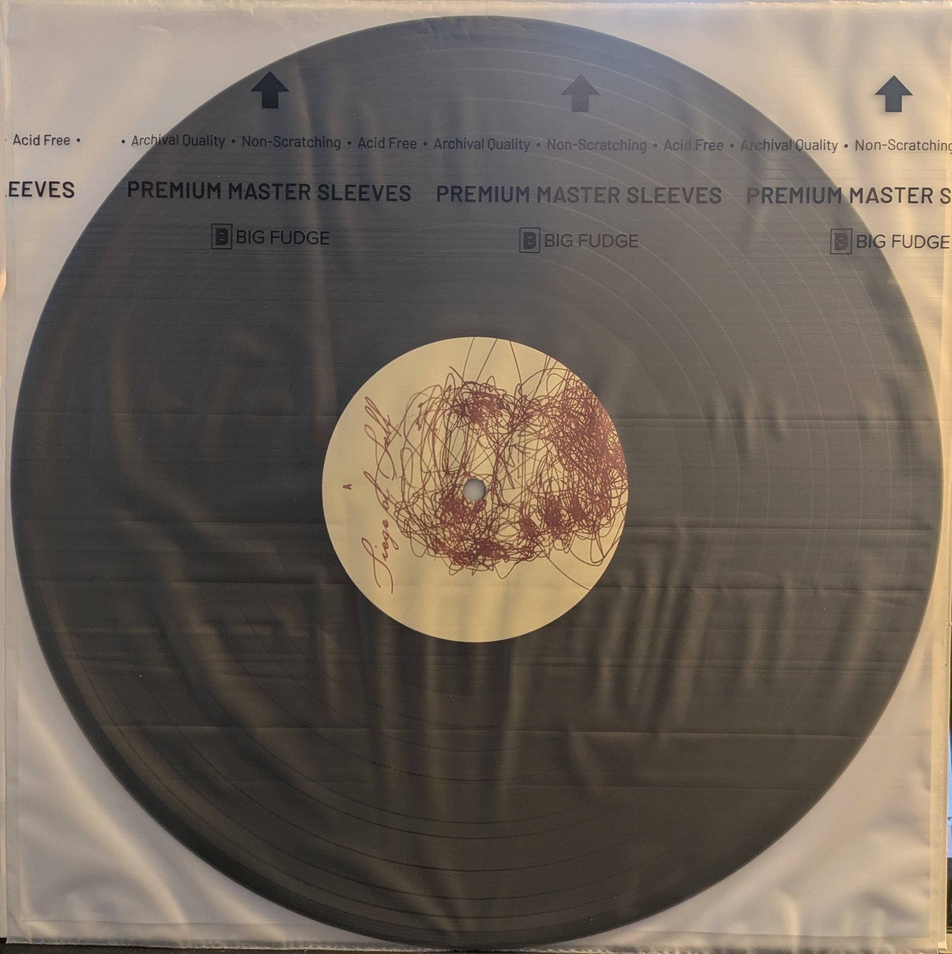 Siege Of Self (VINYL) | Near Mint (NM or M-) Mint (M) - PUNK / USED *NEAR MINT*