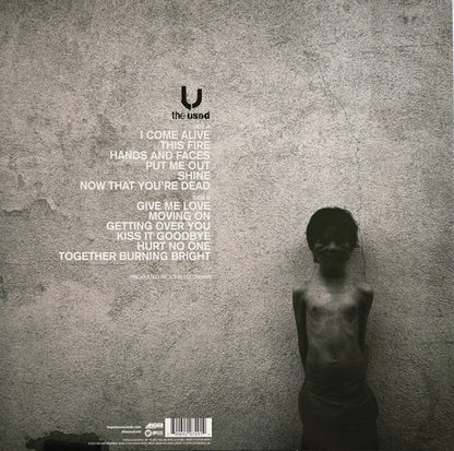 The Used - Vulnerable (VINYL LP) | USED Near Mint (NM or M-) Near Mint (NM or M-) - PUNK / USED *NEAR MINT*