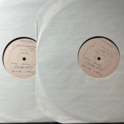 A Thousand Leaves (2xVINYL) | Near Mint (NM) Excellent (EX) - PUNK / USED *NEAR MINT*