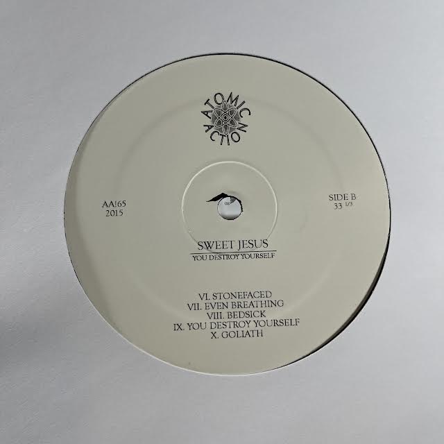 You Destroy Yourself (VINYL) | Near Mint (NM or M-) Near Mint (NM or M-) - PUNK / USED *NEAR MINT*