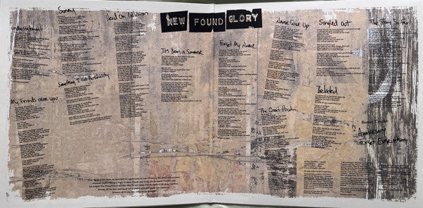 New Found Glory - Sticks And Stones (WHIRLPOOL VINYL) | Near Mint (NM) Near Mint (NM) - PUNK / USED *NEAR MINT*