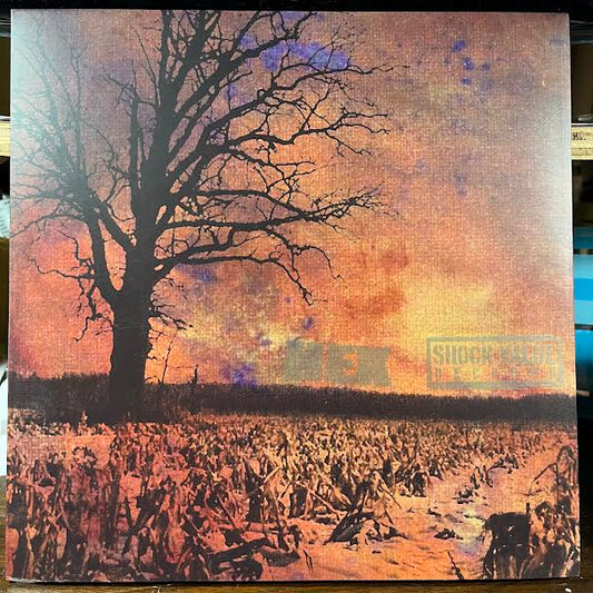 It's A Shame... / 3 Song Demo (GREY/BROWN SPLIT VINYL) | Near Mint (NM or M-) Near Mint (NM or M-) - PUNK / USED *NEAR MINT*