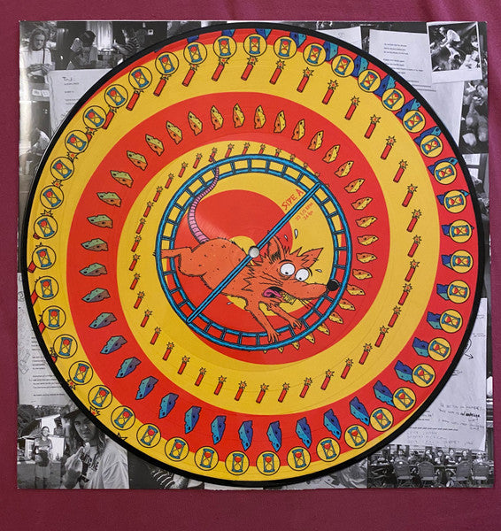 Dune Rats - Hurry Up And Wait (PICTURE VINYL LP) | USED - PUNK / USED *NEAR MINT*