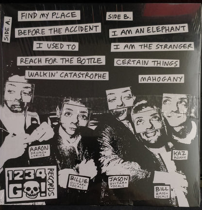 Carry The Banner (VINYL) | Near Mint (NM) Mint (M) - PUNK / USED *NEAR MINT*
