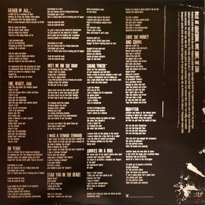 Father Of All... (VINYL) | Near Mint (NM) Mint (M) - PUNK / USED *NEAR MINT*