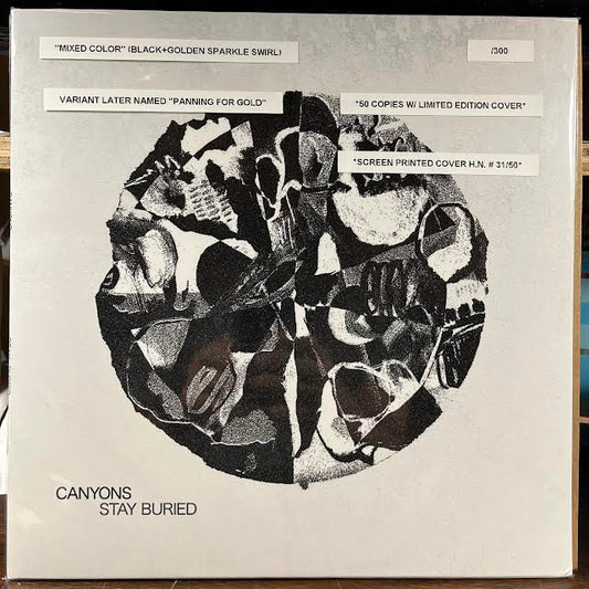 Stay Buried (GOLD FLAKE COLOR VINYL) | Near Mint (NM or M-) Mint (M) - PUNK / USED *NEAR MINT*