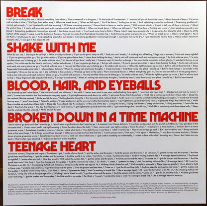 Blood, Hair, And Eyeballs (VINYL) | Near Mint (NM) Mint (M) - PUNK / USED *NEAR MINT*