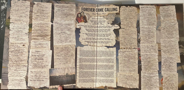 Forever Came Calling - What Matters Most *MUSTARD SPLATTER* | Near Mint (NM) Near Mint (NM) - PUNK / USED *NEAR MINT*