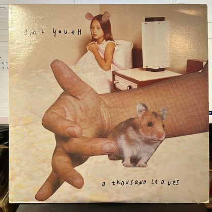 A Thousand Leaves (2xVINYL) | Near Mint (NM) Excellent (EX) - PUNK / USED *NEAR MINT*
