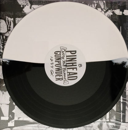 Carry The Banner (VINYL) | Near Mint (NM) Mint (M) - PUNK / USED *NEAR MINT*