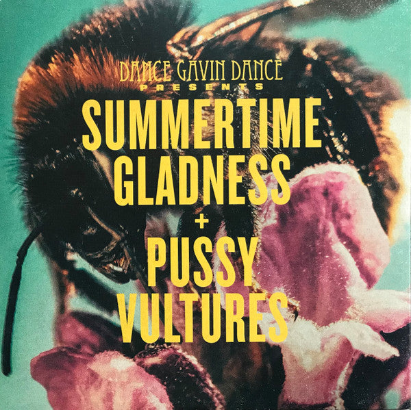 Dance Gavin Dance - Summertime Gladness/Pussy Vultures (RISE RISE387 2019) | Near Mint (NM or M-) Near Mint (NM) - PUNK / USED *NEAR MINT*
