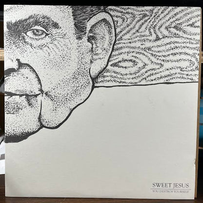 You Destroy Yourself (VINYL) | Near Mint (NM or M-) Near Mint (NM or M-) - PUNK / USED *NEAR MINT*