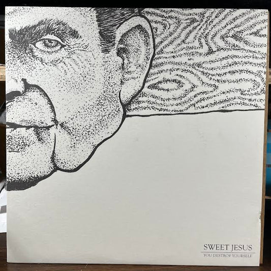 You Destroy Yourself (VINYL) | Near Mint (NM or M-) Near Mint (NM or M-) - PUNK / USED *NEAR MINT*