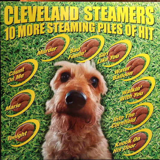 10 More Steaming Piles of Hit | Near Mint (NM) Near Mint (NM) - PUNK / USED *NEAR MINT*