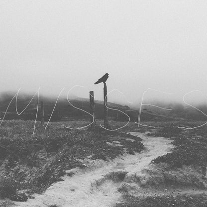 Misses (PURPLE/WHITE MARBLE VINYL) | Near Mint (NM or M-) Near Mint (NM or M-) - PUNK / USED *NEAR MINT*