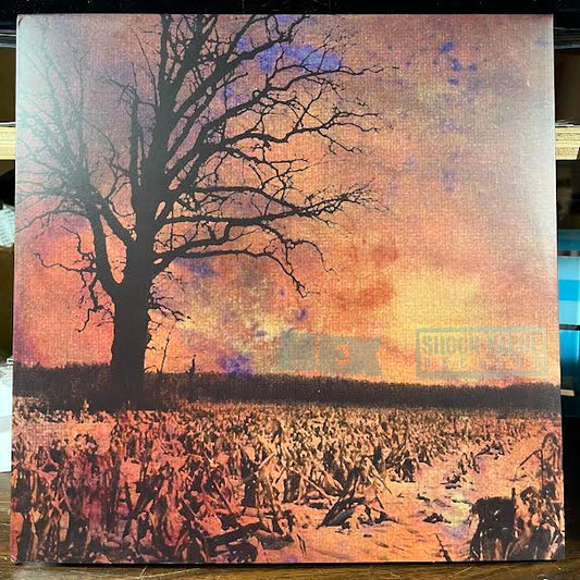 Three Song Demo + It's A Shame... (BLUE/GREEN SPLATTER VINYL) | Near Mint (NM or M-) Near Mint (NM or M-) - PUNK / USED *NEAR MINT*
