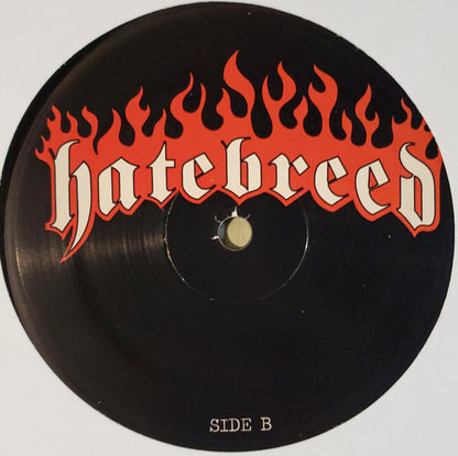 Satisfaction Is The Death Of Desire (VINYL) | Near Mint (NM) Near Mint (NM) - PUNK / USED *NEAR MINT*