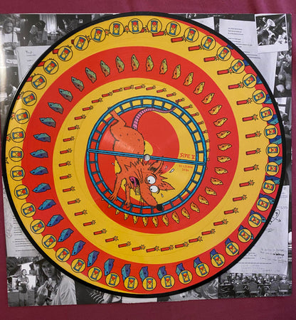 Dune Rats - Hurry Up And Wait (PICTURE VINYL LP) | USED - PUNK / USED *NEAR MINT*