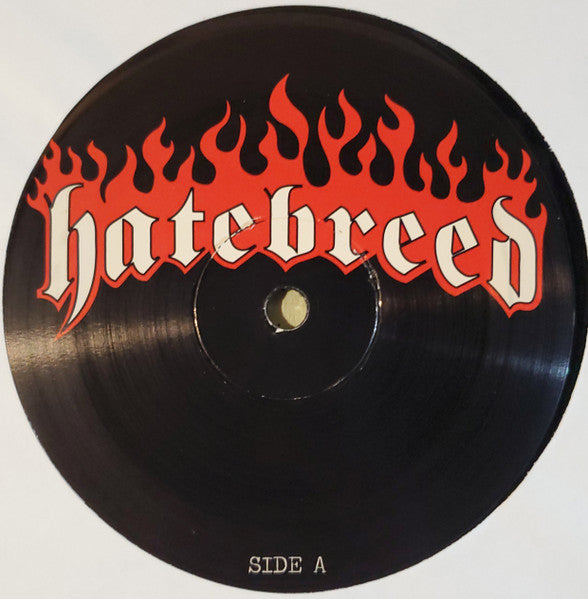 Satisfaction Is The Death Of Desire (VINYL) | Near Mint (NM) Near Mint (NM) - PUNK / USED *NEAR MINT*