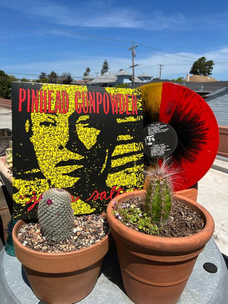 Jump Salty (VINYL) | - PUNK / USED *NEAR MINT*