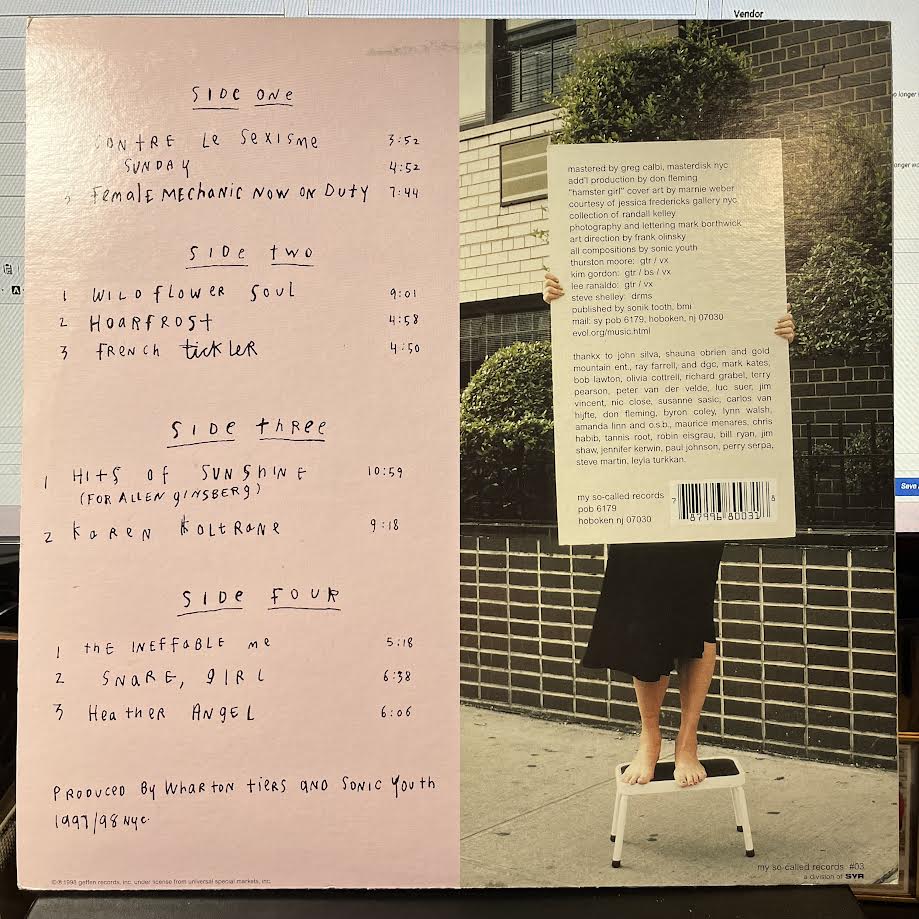 A Thousand Leaves (2xVINYL) | Near Mint (NM) Excellent (EX) - PUNK / USED *NEAR MINT*